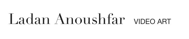 Ladan Anoushfar   VIDEO ART